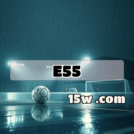 e55.com: A Segurança em Jogos Online que Você Precisa Conhecer